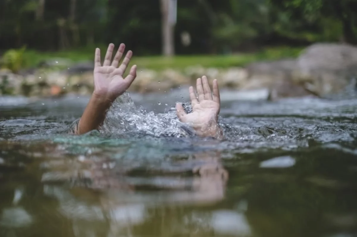 Read more about the article Как рыба в воде. Биолог Баранова назвала неожиданную причину утоплений