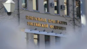 Немецкую НПО Demokrati-JA e.V. признали нежелательной в России