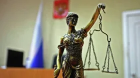 Покупатели подушки Togas подали в суд на производителя из-за найденной в ней иглы