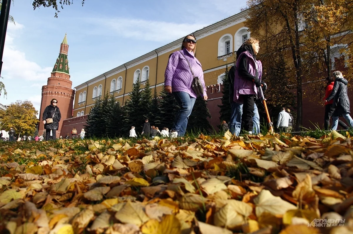Read more about the article Пока, лето. Синоптик Тишковец раскрыл, надолго ли задержится тепло в Москве