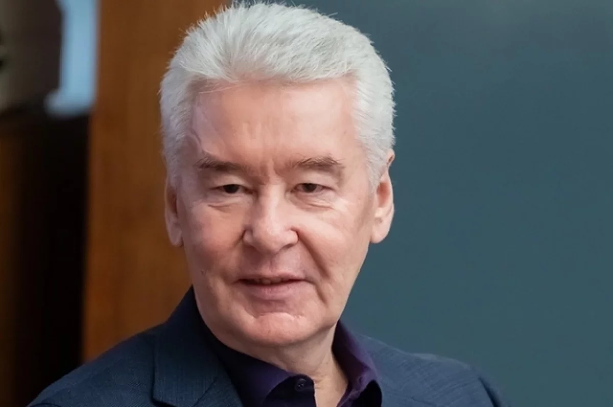 Read more about the article Собянин рассказал о поддержке семей участников СВО накануне Нового года