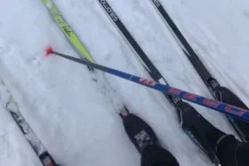 В Москве лыжным спортом занимаются около 47 тыс. человек