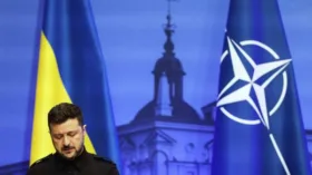 Steigan: план Зеленского ведет к постоянной войне с России
