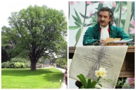 Дух Петра I, дуб Гофмана и другие тайны. Аптекарскому огороду – 320 лет