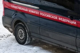 Ушли и не вернулись: все версии исчезновения троих детей в Звенигороде