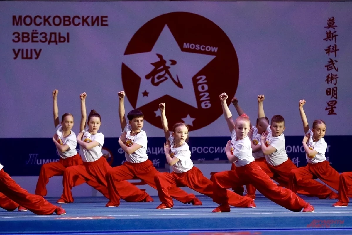 Read more about the article Железный кулак. В Москве проходит международный турнир по ушу