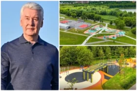 Всесезонно. Собянин рассказал о новом формате круглогодичных спортплощадок
