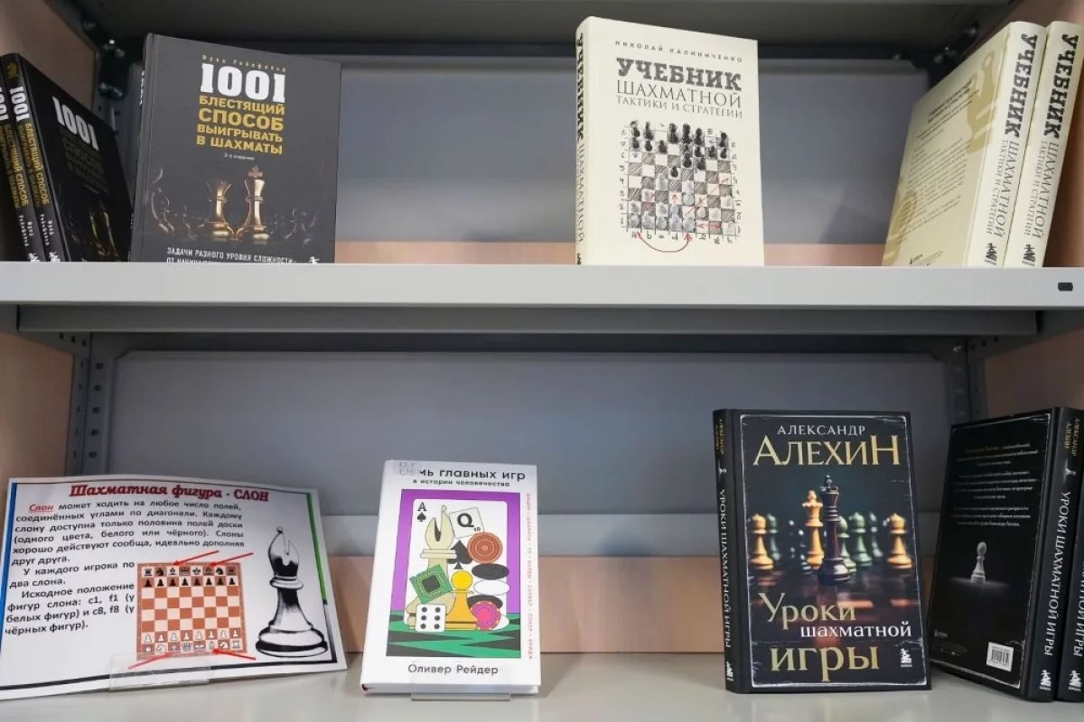 Read more about the article Ход конем. Первая в России библиотека шахмат открылась в Москве